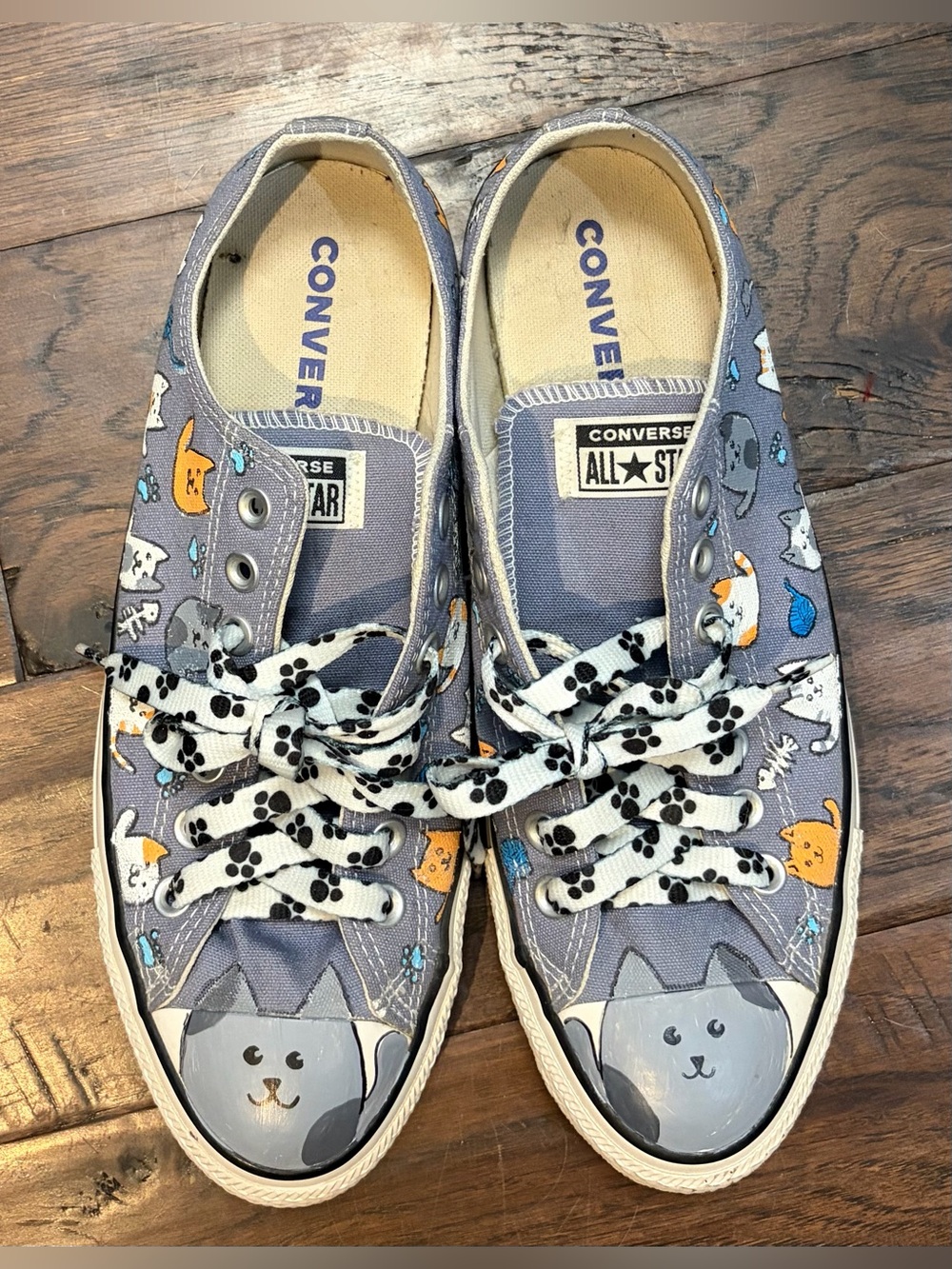Custom Hand Painted Cat Converse Chuck Taylor All Star OX M9 W11